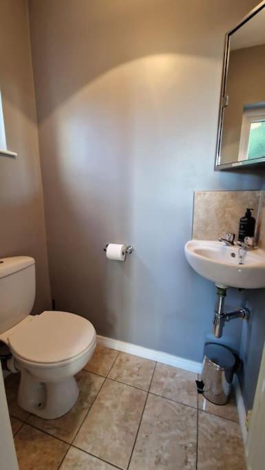 Westland Retreat - Magherafelt - Mid Ulster - Nitb Approved Villa Eksteriør billede